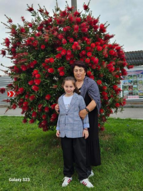 Rustaveli N158